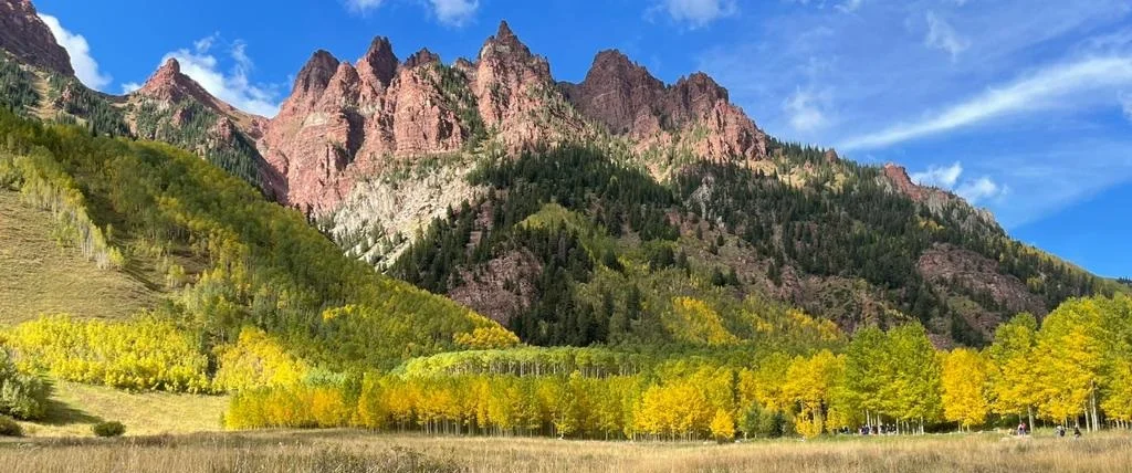 Mountain landscape banner